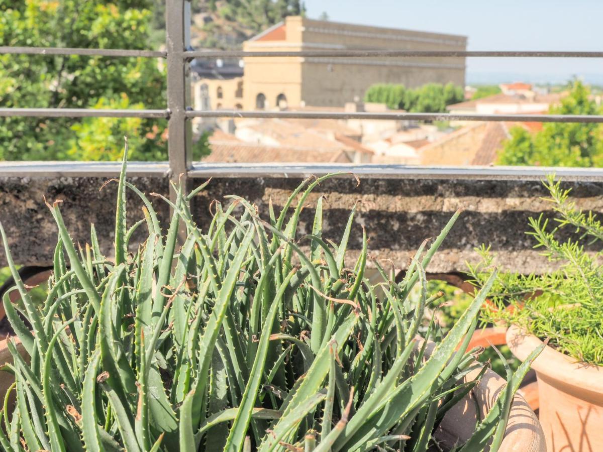 Le Rooftop - Vue Incroyable Sur Le Theatre Antique Orange  Dış mekan fotoğraf